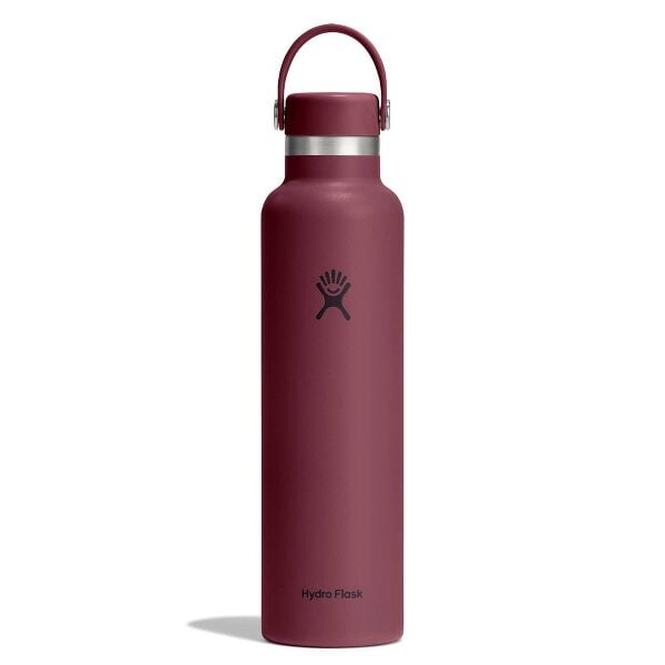 24 oz Standard Mouth H2